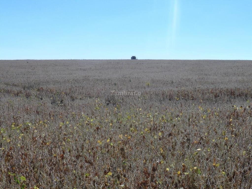 Estancia Agricola Ganadera 1600 ha en Paysandú