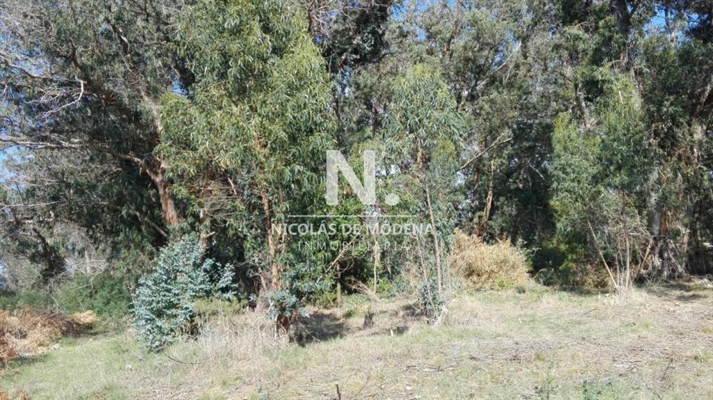 VENTA TERRENO EN SANTA MÓNICA