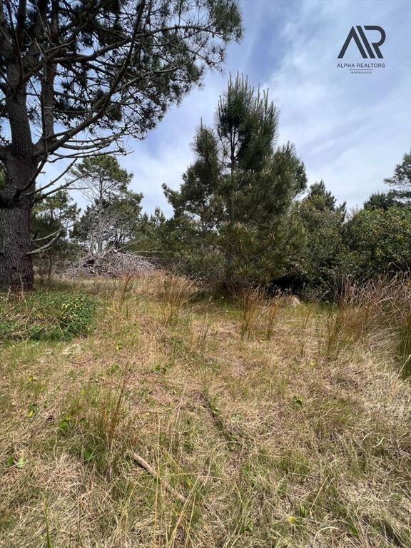 Terreno en venta en Paseo La Viuda, Punta del Diablo