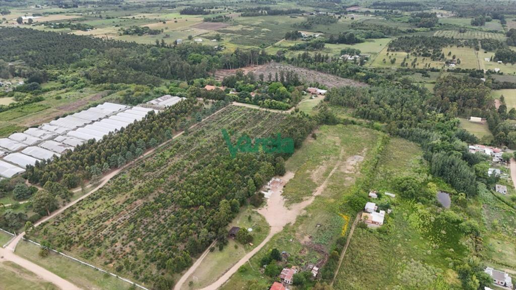 Venta Chacra Toledo Sobre Ruta 6, 14 has salones