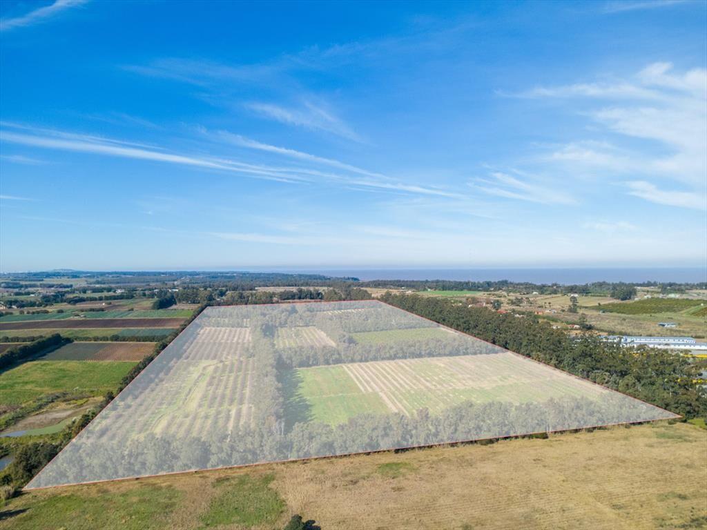 VENTA DE CHACRA 20 has EN PUNTA ESPINILLO