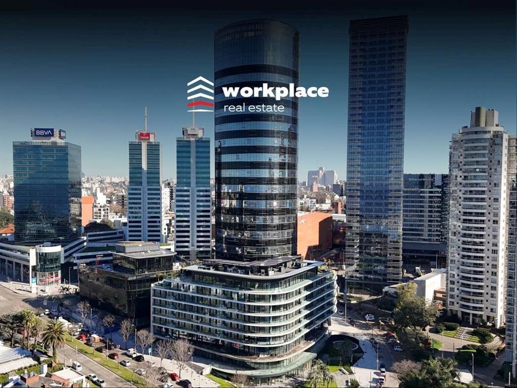 ALQUILER OFICINA COSMOS / DF BUCEO / Unica planta de 1625 m