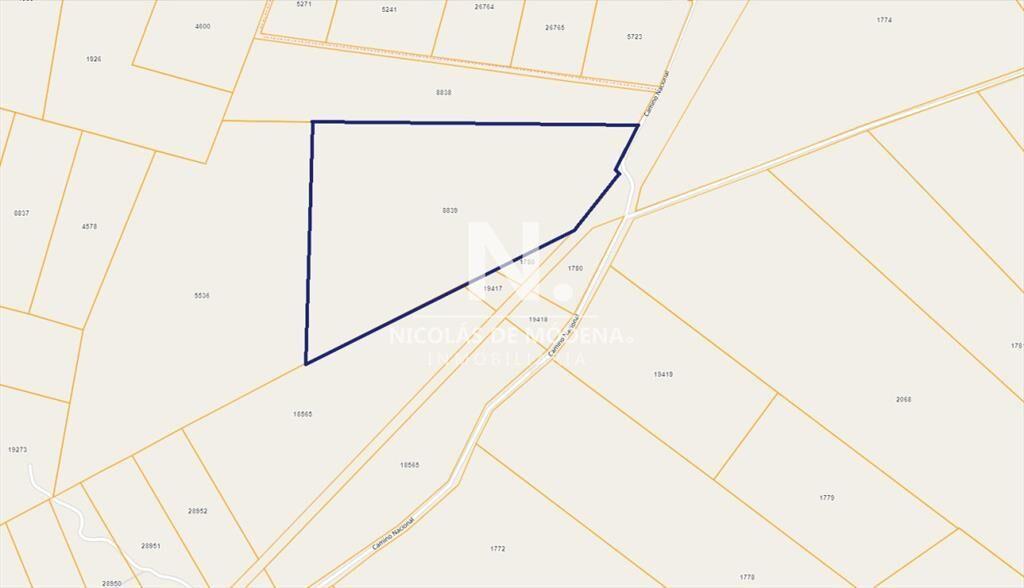 Campo en venta en hermosa zona
