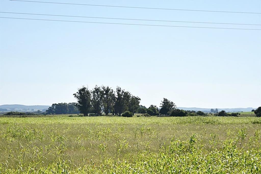 36 ha. sobre ruta 9