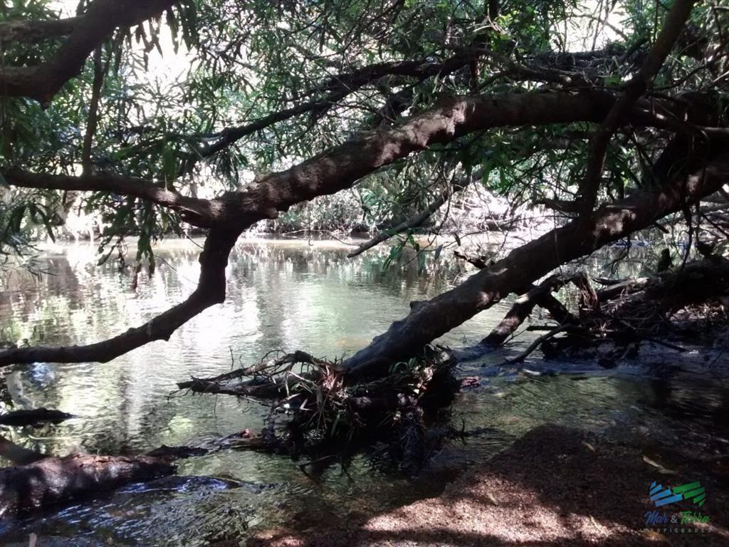 51 Has Campo Secreto