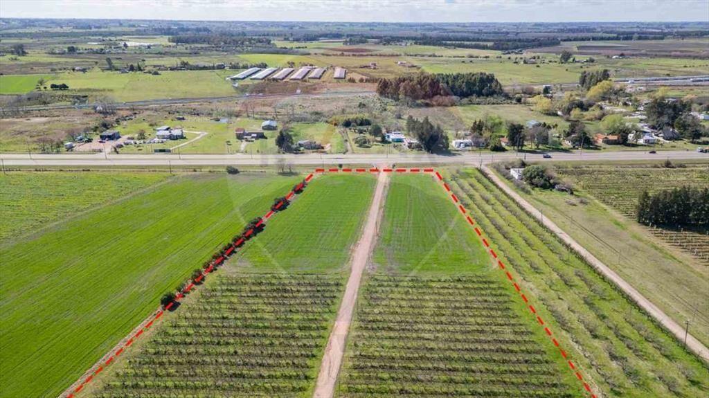 VENTA NAVE LOGÍSTICA SOBRE RUTA 5 CANELONES