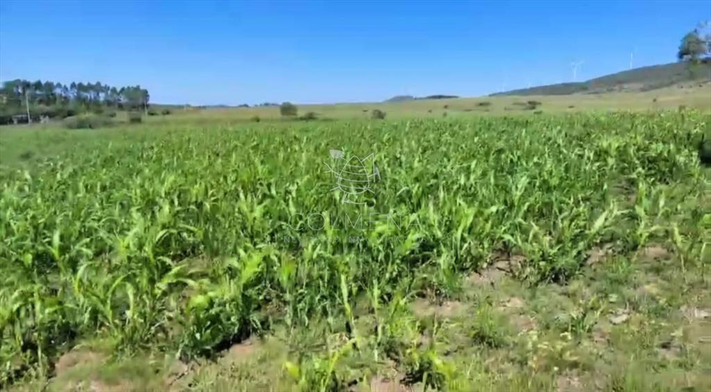 Campos de 6 y 5 has en los Caracoles 35 minutos