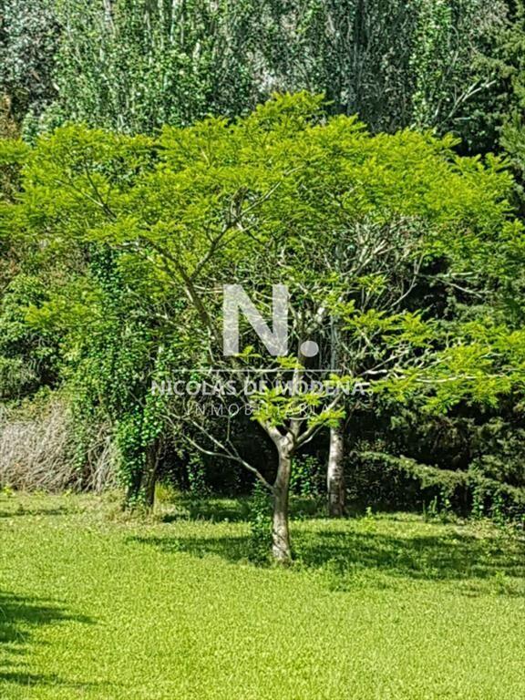 En venta chacra de 6hectareas en Jose Ignacio.