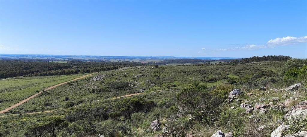 Venta de chacras de 5 hectáreas en Lavalleja, cerca de Mina