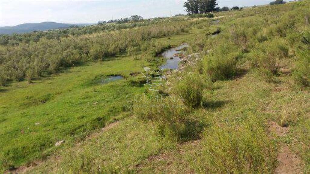 Campo 10 has con 6799 m2 cerca de ruta 8