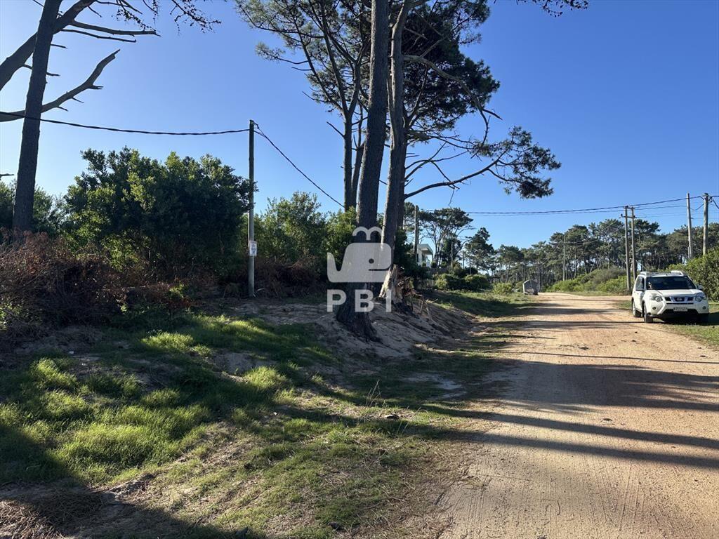 Venta de excelente terreno en Punta Ballena - Ref : PBI145