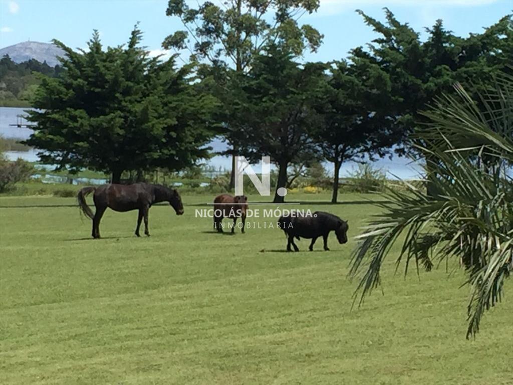 Venta de Chacra en Laguna del Sauce - Oportunidad Única en