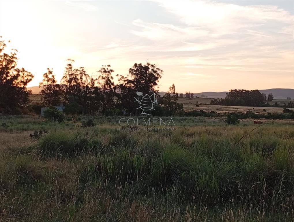Campo 48 has en Paso Dutra