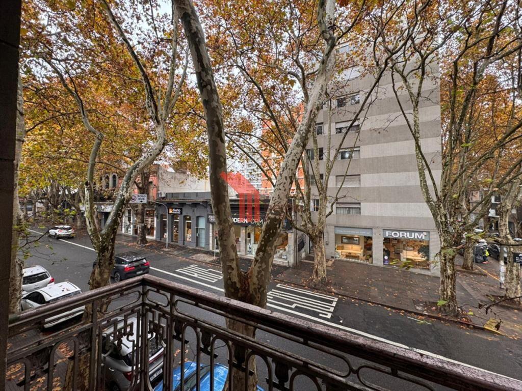 Venta Local con sótano y casa de altos, Cordón