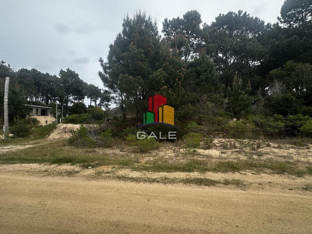 Terreno en Punta Ballena, Chihuahua