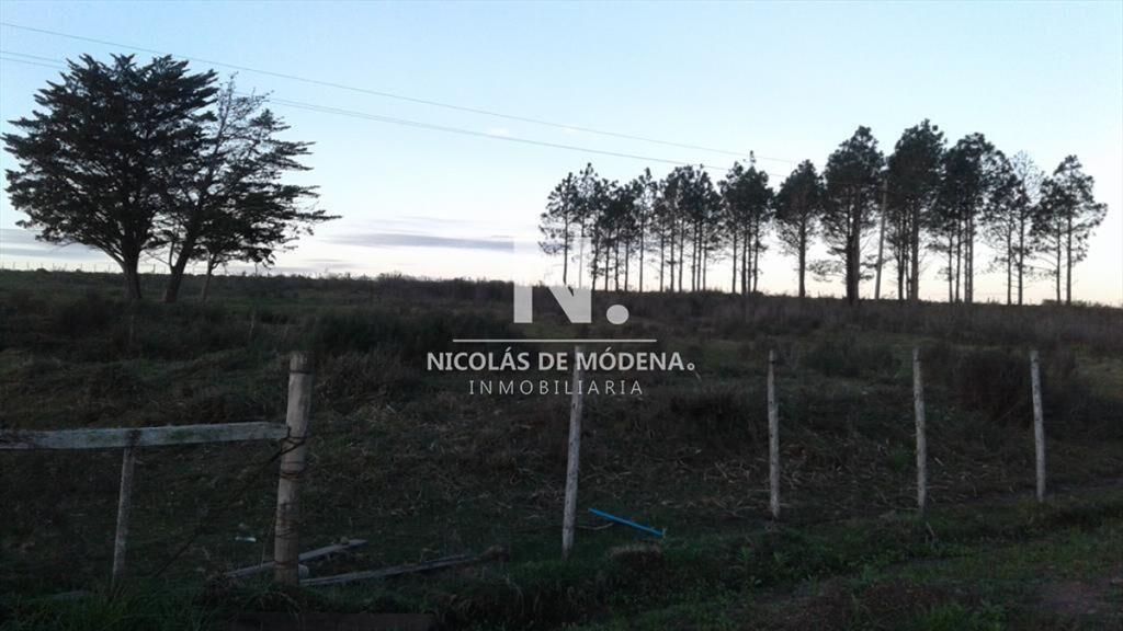 Campo próximo a ruta 12