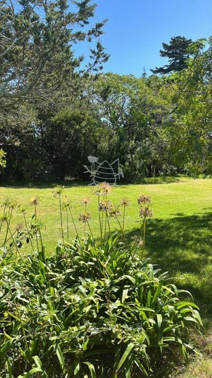 Chacras de 5 has en Punta Ballena en Venta