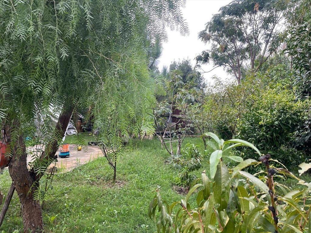 VENTA CASA PH 2 DORMITORIOS, COCHERA, PARRILLERO EN CERRO