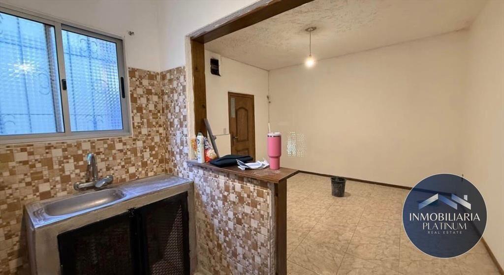 Apartamento 1 Dormitorio Alquiler Brazo Oriental