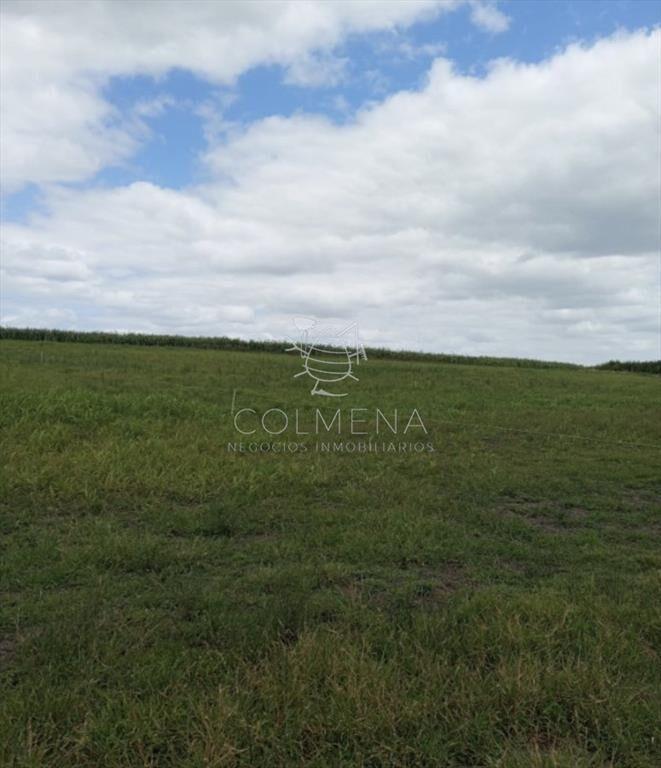 Campo en Florida agrícola-ganadero