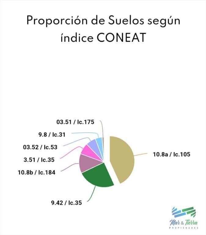 Establecimiento completo, campo mixto muy bien !