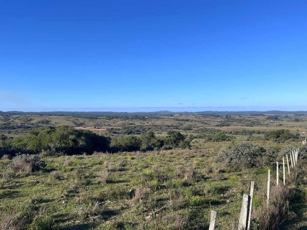 Campo en venta al norte de Garzón - Buen acceso