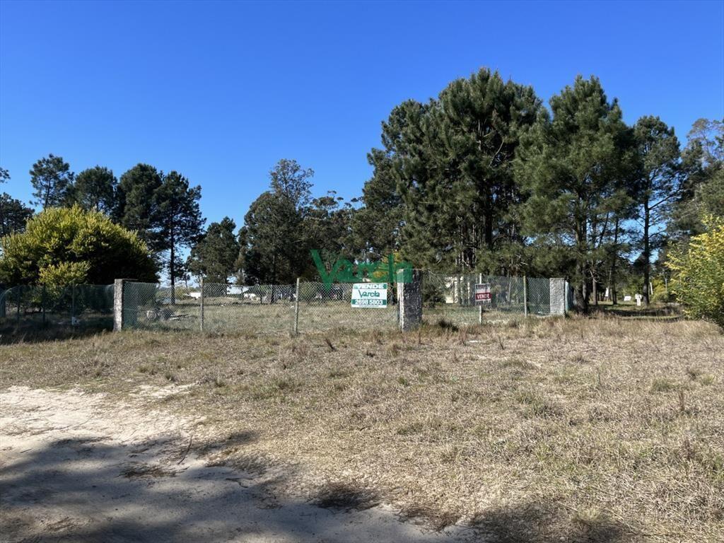 Terreno de 5608 m2 Pinar Sur , en venta .