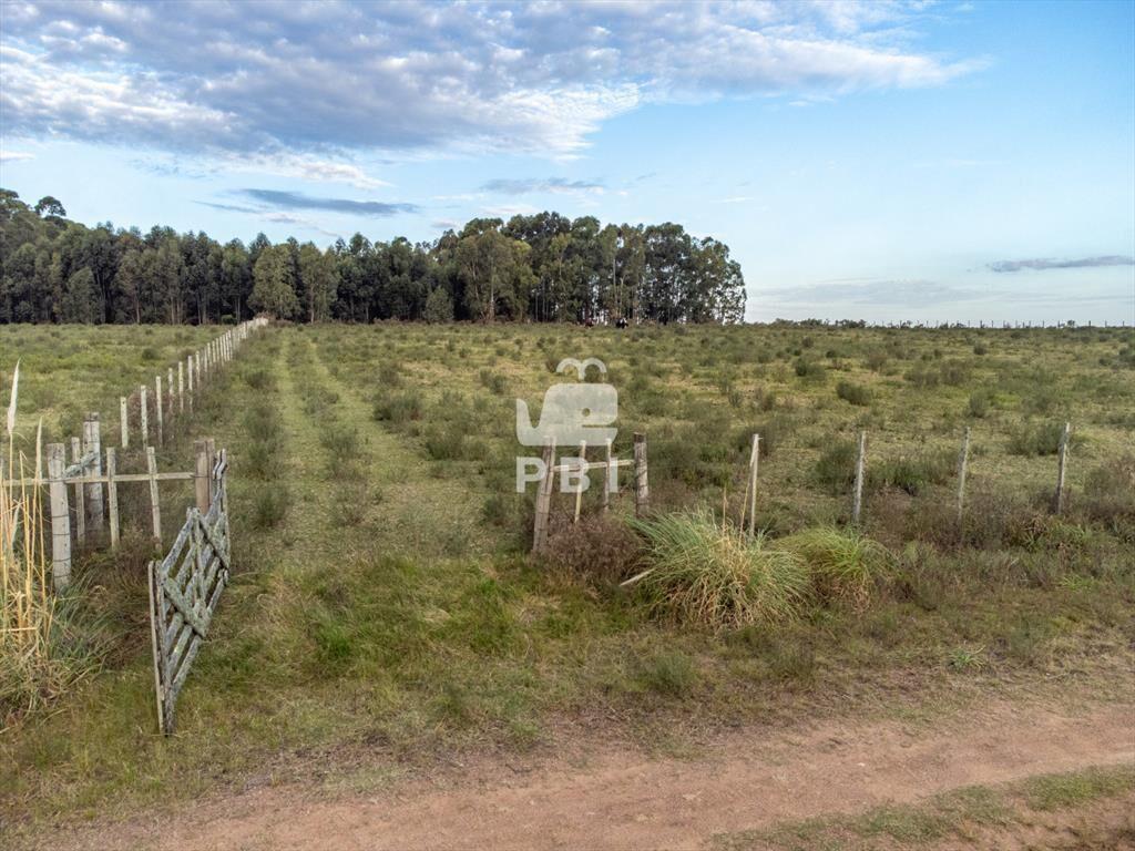 Chacra en venta en Laguna del Sauce, Punta - Ref