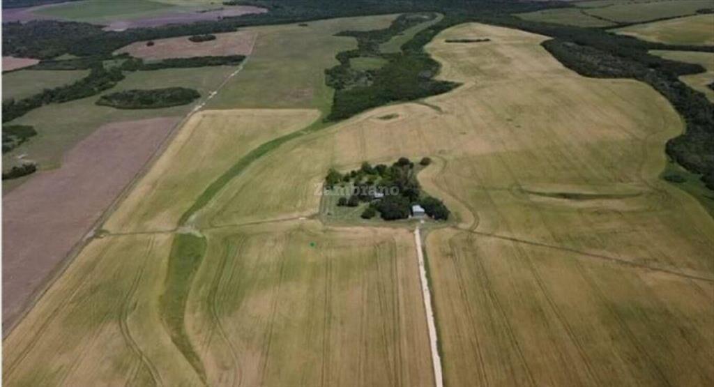 Establecimiento Agrícola Ganadero I Colonia I Ha: 224. IC: