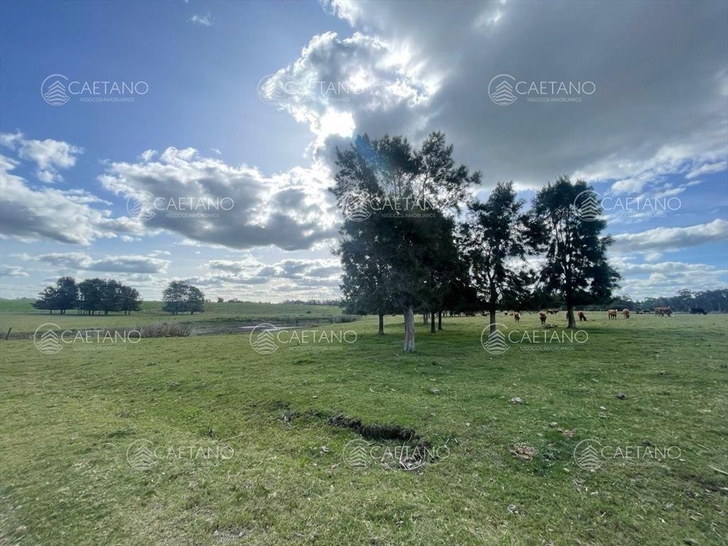 Chacra en venta sobre Camino Medellín