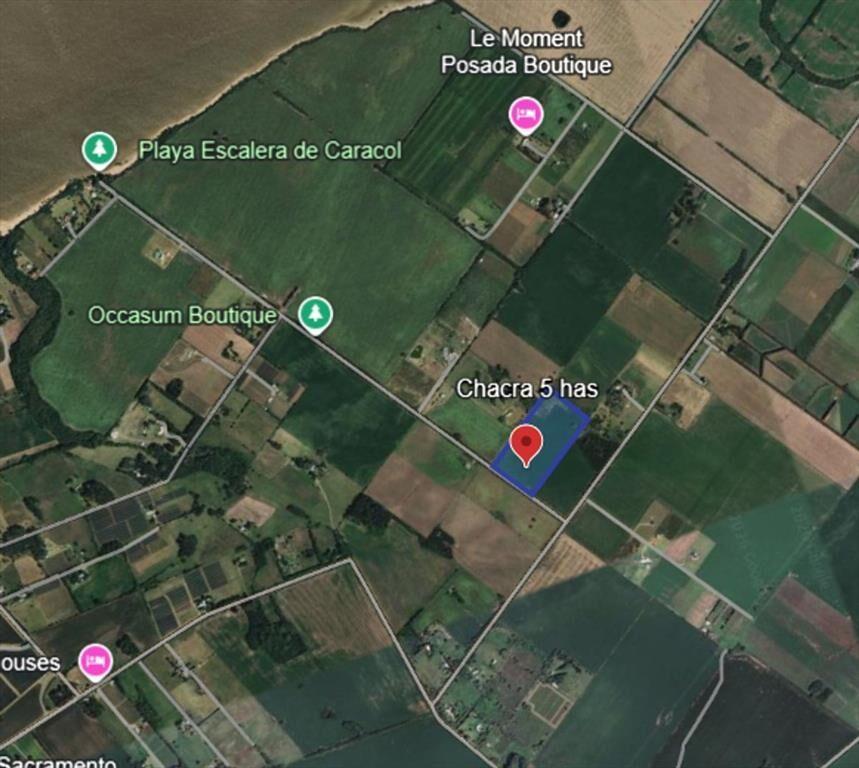 Chacra de 5has en Venta en San Pedro - Colonia