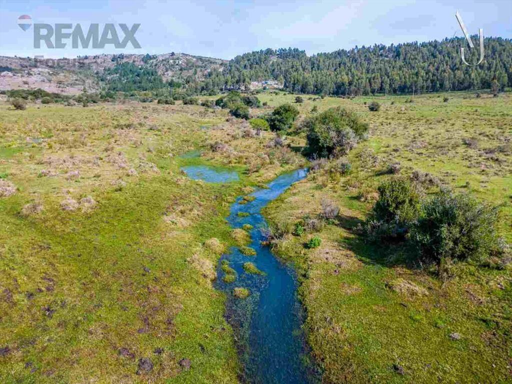 Venta de campo 25,7 Ha. en Minas, Lavalleja.