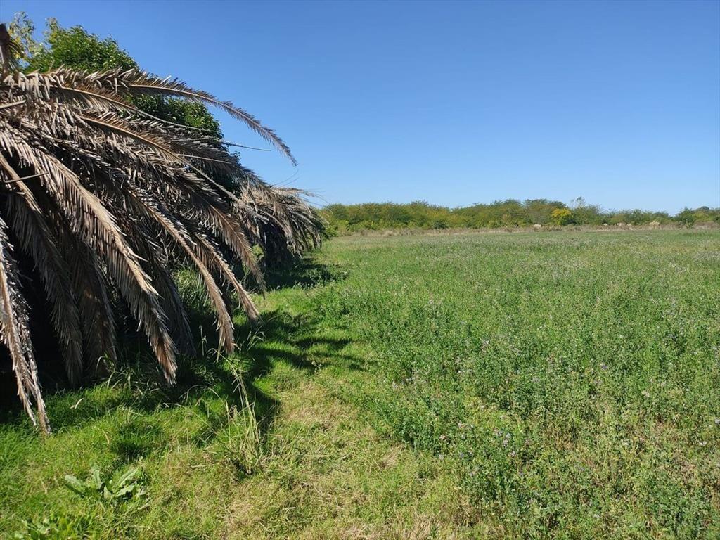 Venta Campo casi 4 hás, a 1 cuadra de Ruta 75