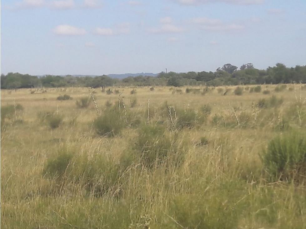 AL1086/P venta campo 53 hectareas en Estacion Solis Minas La