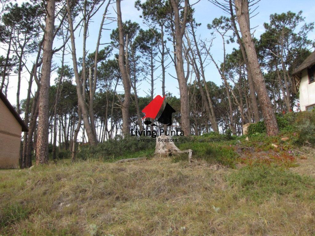 Venta de Terreno en Las Grutas, Punta del Este