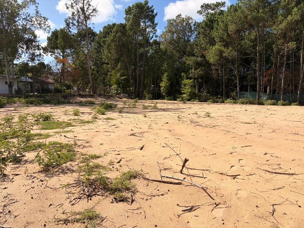 Terreno para desarrollo sobre Av. Leandro Gómez