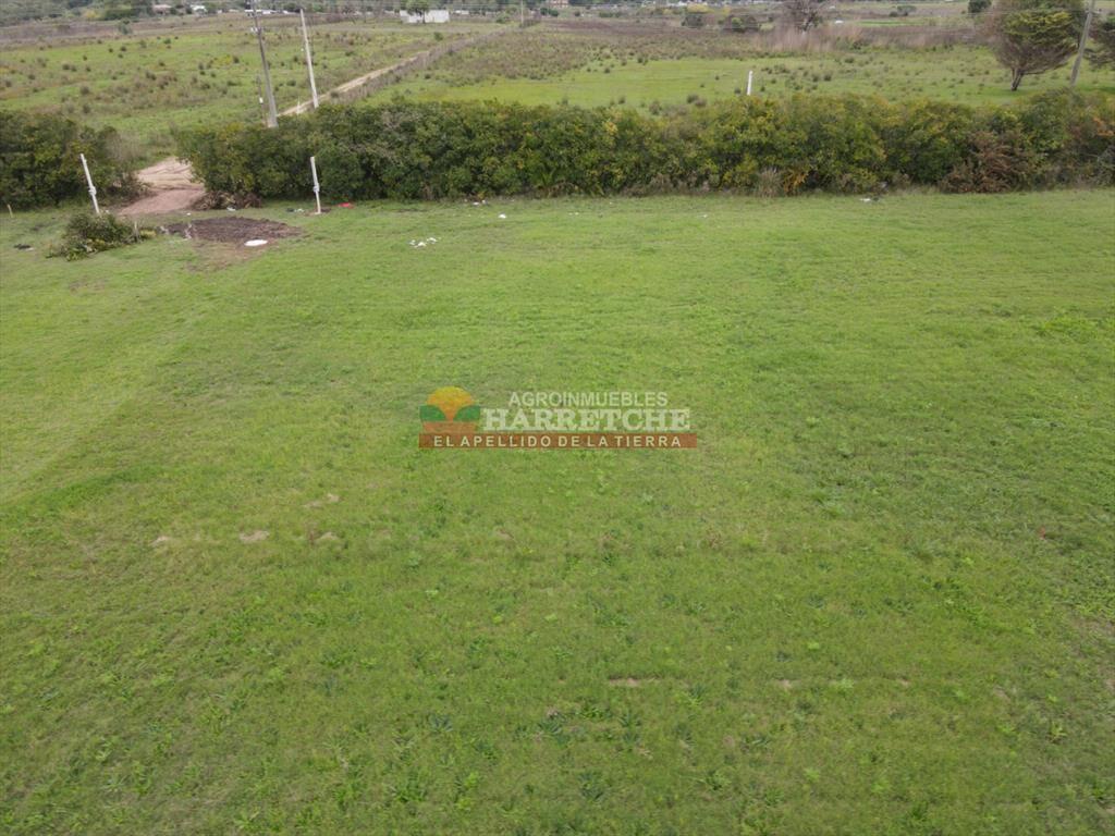 Terreno en Progreso, 360 m2 en Jardín de los (8)