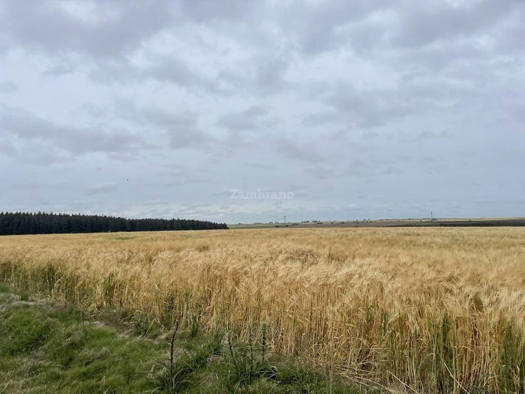 Estancia Agrícola Ganadera en Flores