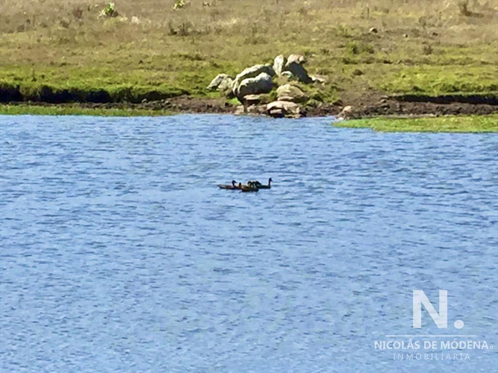 Campo productivo en zona José Ignacio