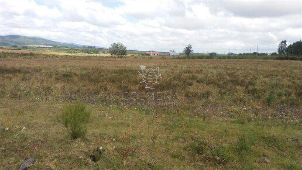 Campo 10 has con 6799 m2 cerca de ruta 8