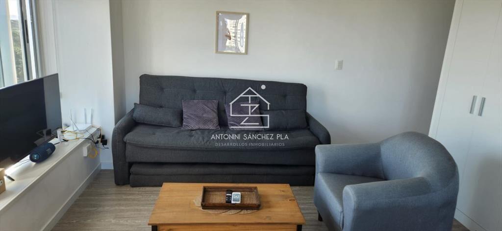 Venta y Alquiler Anual