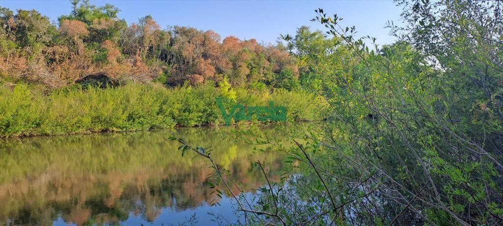 Venta de Campo, Paso del Sordo, Florida, campo de
