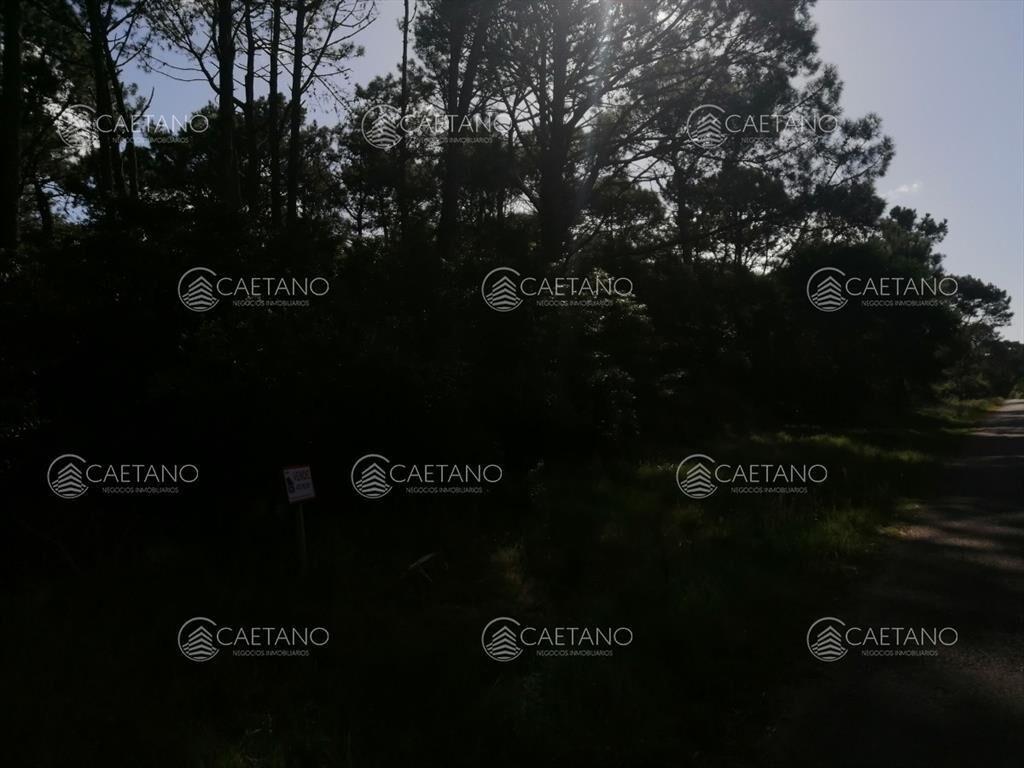 Venta terrenos en club del lago