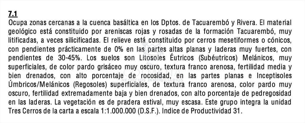 Campo 230 has - Ganadero y Turístico en Rocha