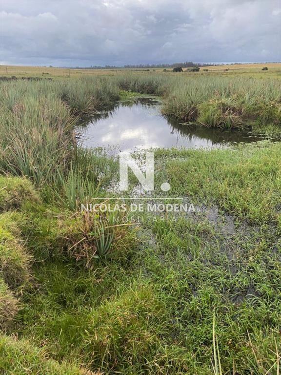 Vende Campo en Ruta 104. Punta del Este