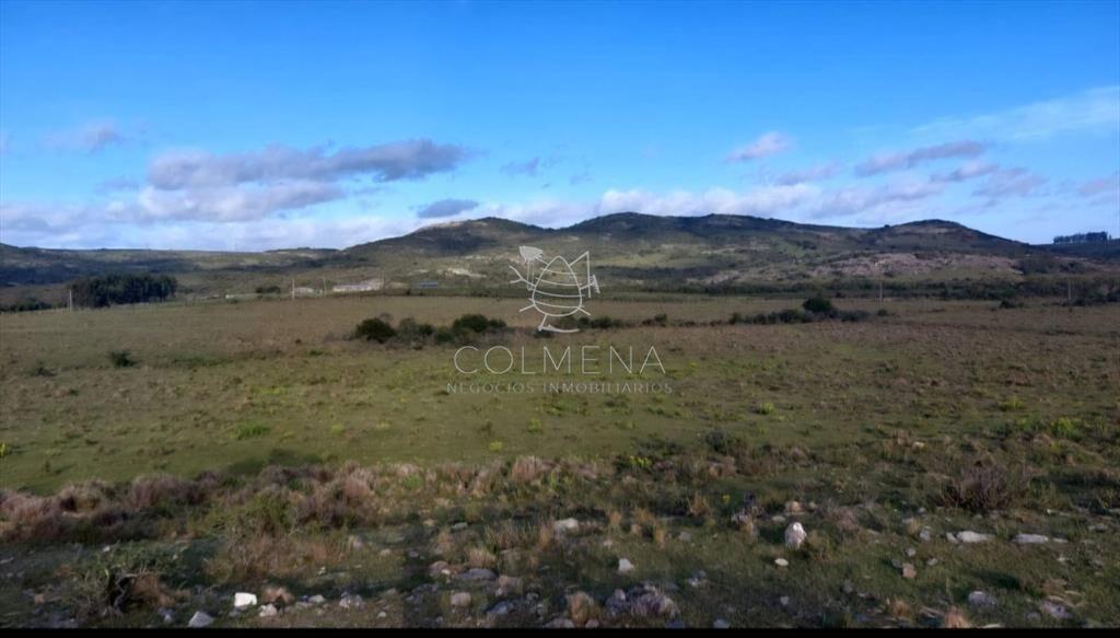 Campo en los Caracoles de 5 has  y 6 has