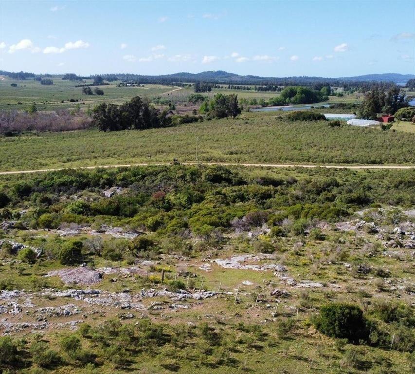 Venta Campo 17 ha sobre la Laguna del Sauce Punta del Este