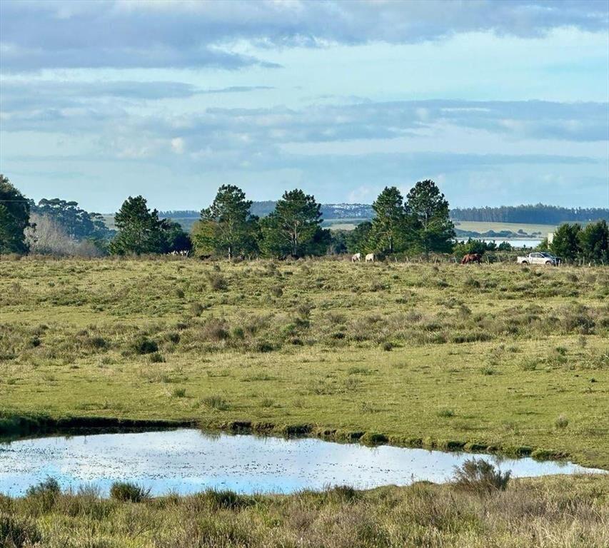 Chacra Jose Ignacio 10 hectáreas