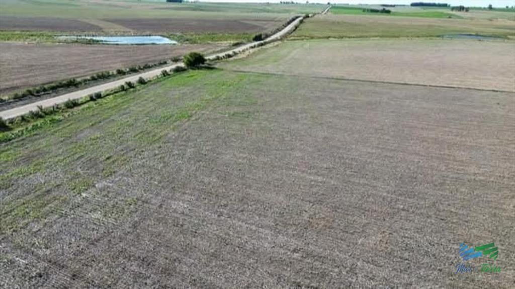150 Has Campo Agrícola Ganadero a tan solo 10 de