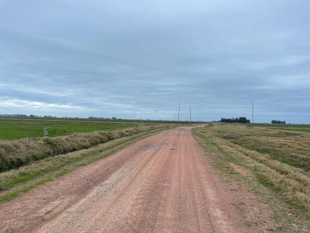 Estancia Ganadera Agrícola en Lavalleja